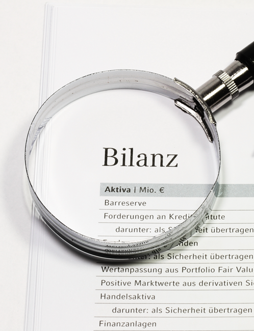 Professionelle Software zur Unternehmensplanung